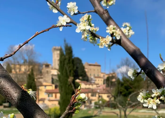 Casa Colomba Vicopisano